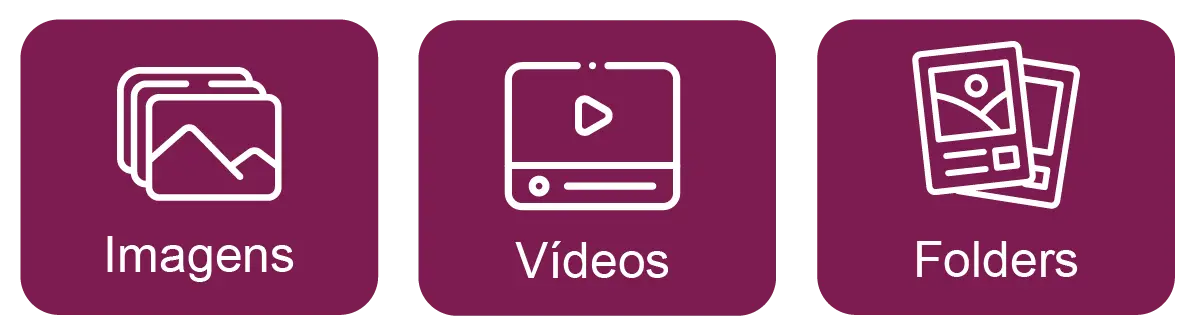 Illustrative icons of marketing and sales support kit for Pigeons OUT licensees